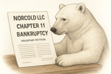 Norcold Files Chapter 11 Bankruptcy: The REAL Story And What You Need To Know!