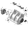 Sea-Doo Induction Manifold 2023 GTR 230 420867946