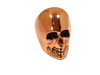 V-FACTOR SKULL SHIFT KNOBS