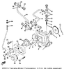 Gasket (137-13167-00) 1972 SL338C CA 90430-06011-00