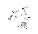 Victory Shaft, Balance 2003  Victory Vegas All Options (V03Gb16) 5133674