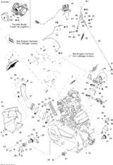 Can-Am Long Block 810 Engine 2008  Renegade 800 X 420081030