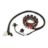 SPI Stator Polaris 2008 Polaris 600 RMK 144SM-01356