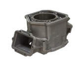 SPI Cylinder 2019 Ski-Doo Renegade Sport 600 CarbSM-09608