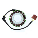 Electrosport Stator Aprilia Esg919 2009 Aprilia RSV 1000 R Factory ESG919