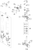 KTM Triple clamp bottom cmpl. X=32mm 2022 1290 SUPER DUKE R EVO, orange Chassis 61701032032C1 KTM Triple clamp bottom cmpl. X=32mm 2022 1290 SUPER DUKE R EVO, orange Chassis 61701032032C1