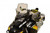Ski-Doo Gen4 Tall, Clear With Black Fade, 22" 2019 Ski-Doo Backcountry X E-TEC 85013640 Ski-Doo Gen4 Tall, Clear With Black Fade, 22" 2019 Ski-Doo Backcountry X E-TEC 85013640