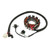 SPI Stator Polaris 2010 Polaris 800 SwitchBackSM-01356