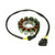 SPI Stator2010 Ski-Doo Expedition 1200 SESM-01364 SPI Stator2010 Ski-Doo Expedition 1200 SESM-01364