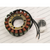 Rick'S Electric Oe Style Stator 1998 Aprilia Pegaso 650 21-024 Rick'S Electric Oe Style Stator 1998 Aprilia Pegaso 650 21-024