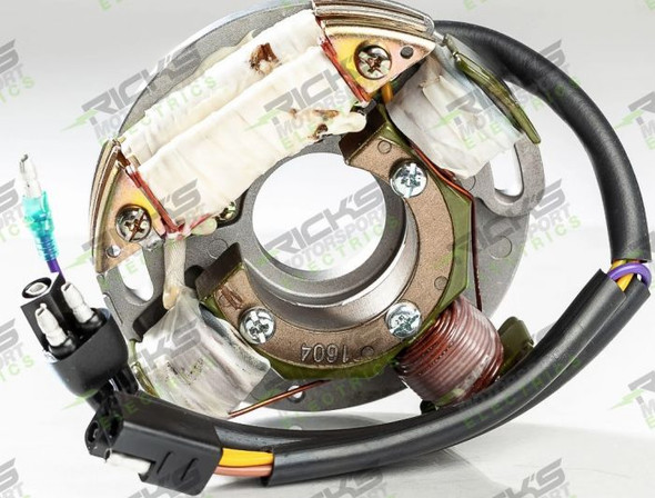 Rick'S Electric Arctic Cat Stator 1986 Arctic Cat Cougar24-008