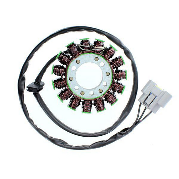 Electrosport Stator Bmw Esg845  2009 BMW S1000RR ESG845