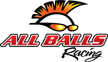 ALL BALLS RACING INC