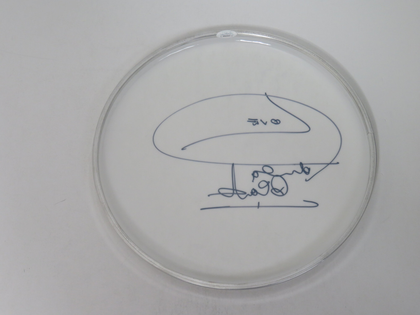 Petula Clark Signed Drumhead DD63537