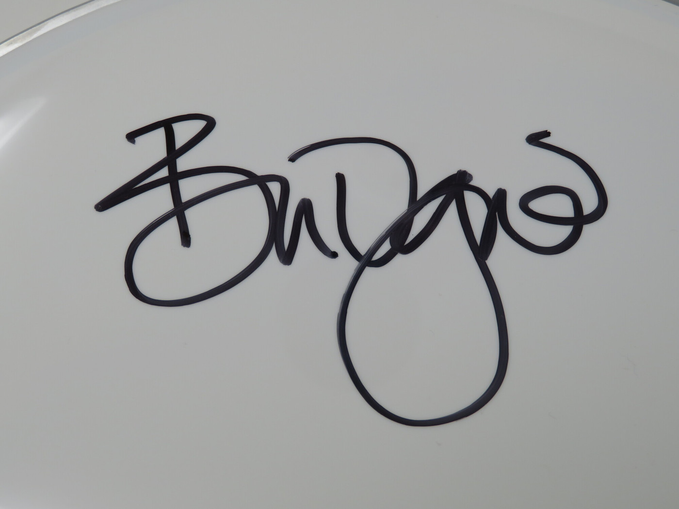 Siouxsie And The Banshees Signed Drumhead AS68467