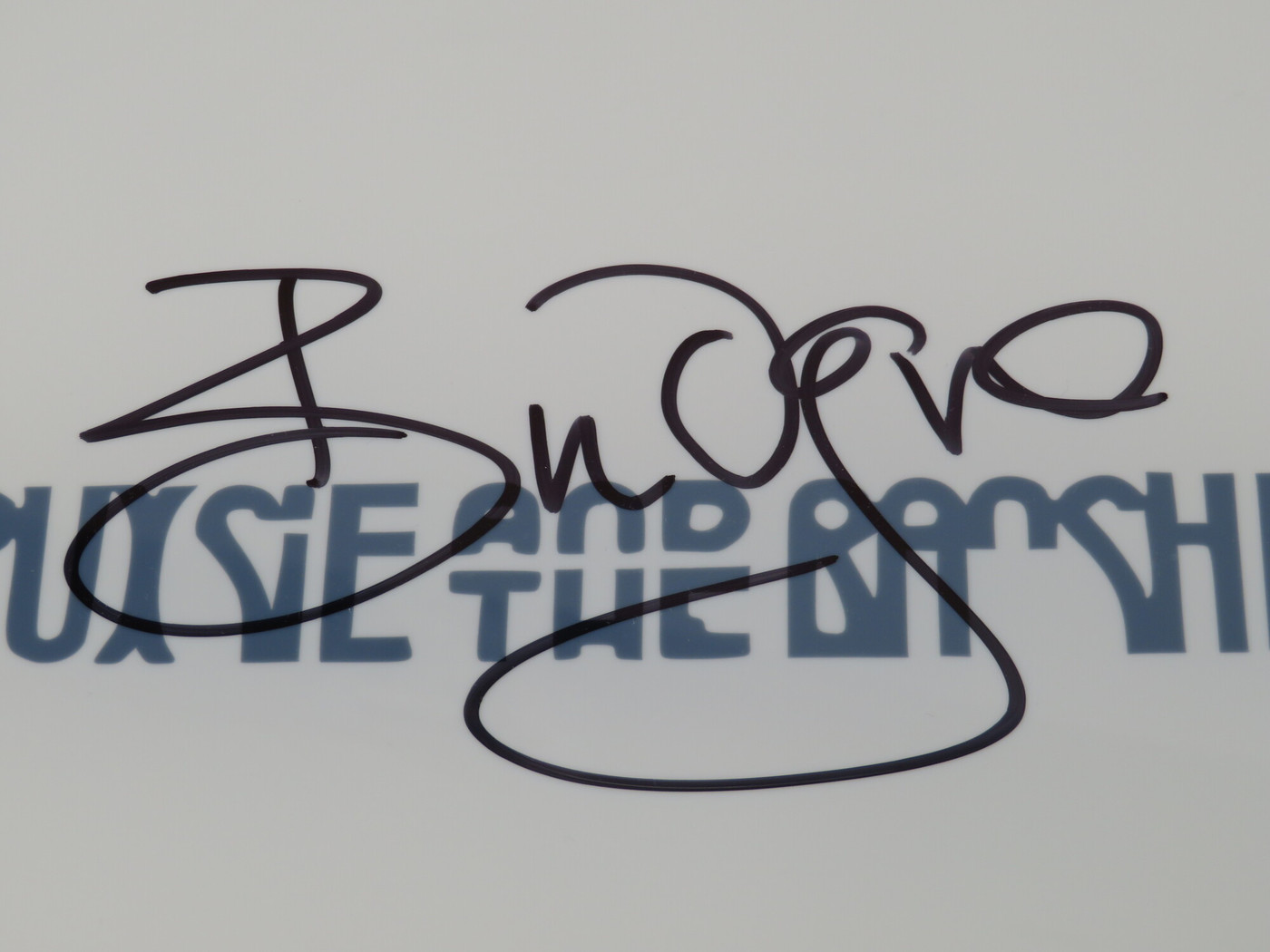Siouxsie And The Banshees Signed Drumhead AS68470
