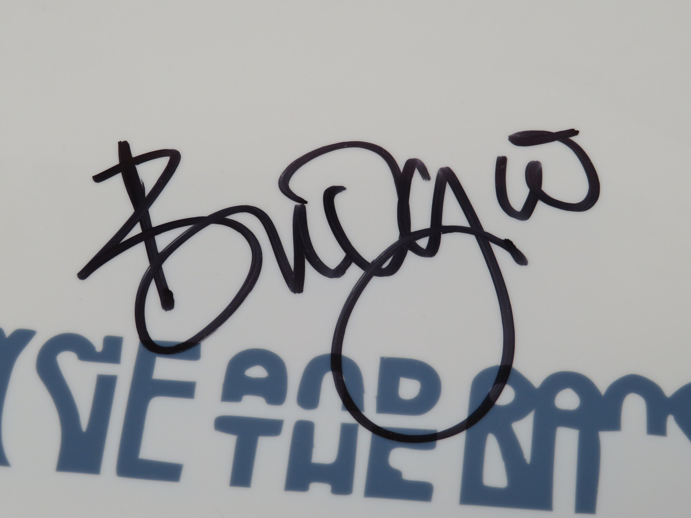 Siouxsie And The Banshees Signed Drumhead AS68466