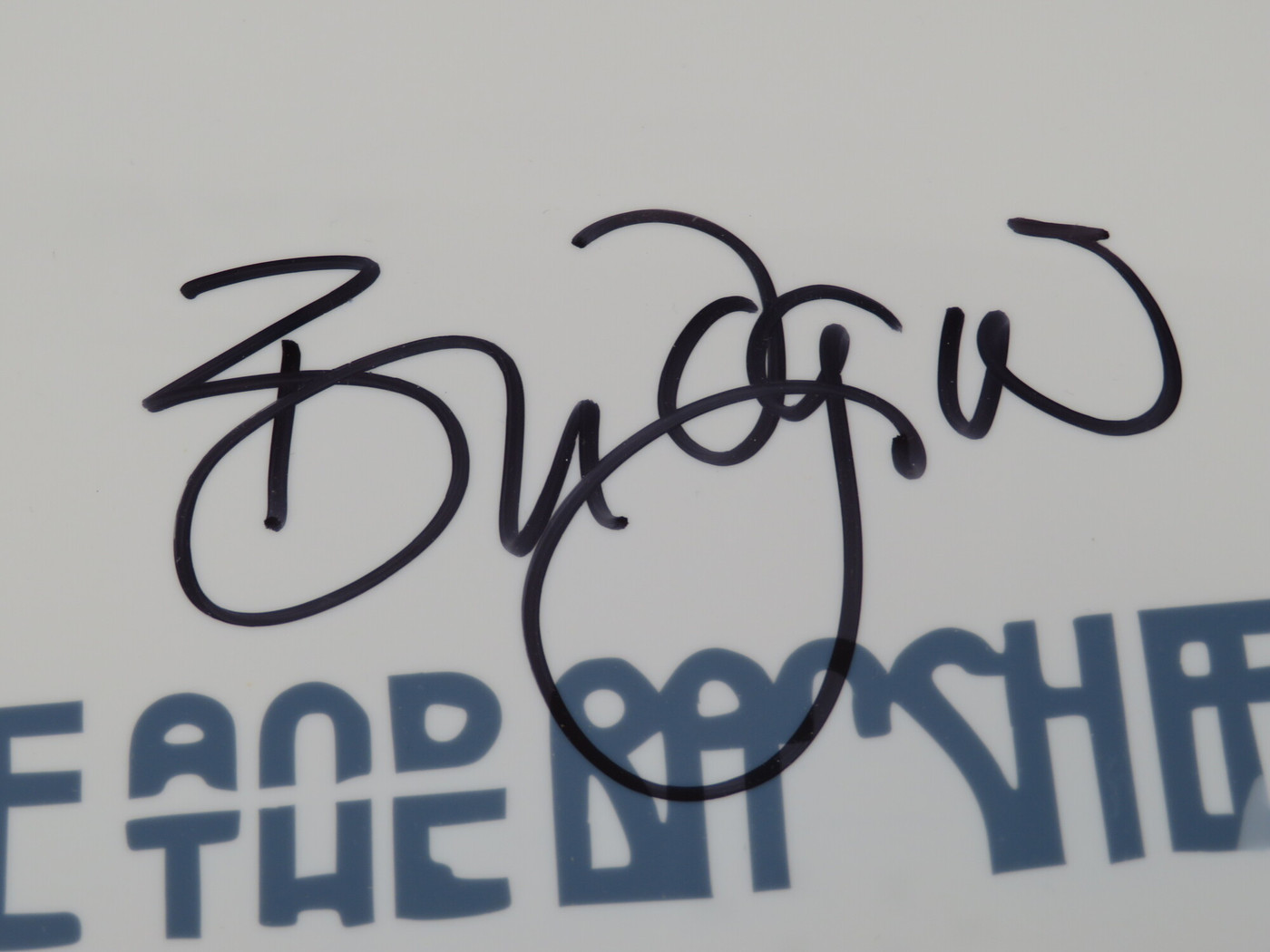 Siouxsie And The Banshees Signed Drumhead AS68468