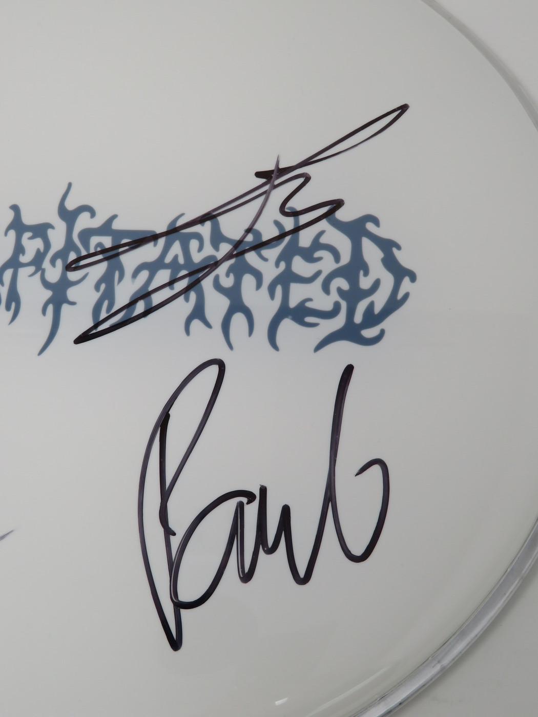 Decapitated Signed Drumhead