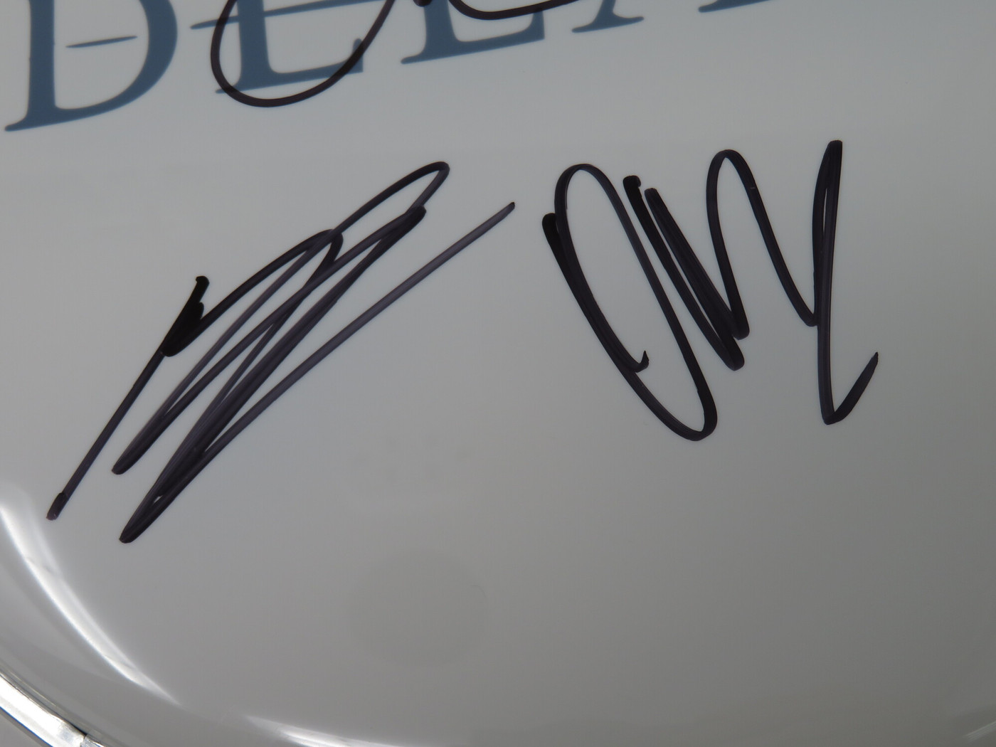 Delain Signed Drumhead QQ34964