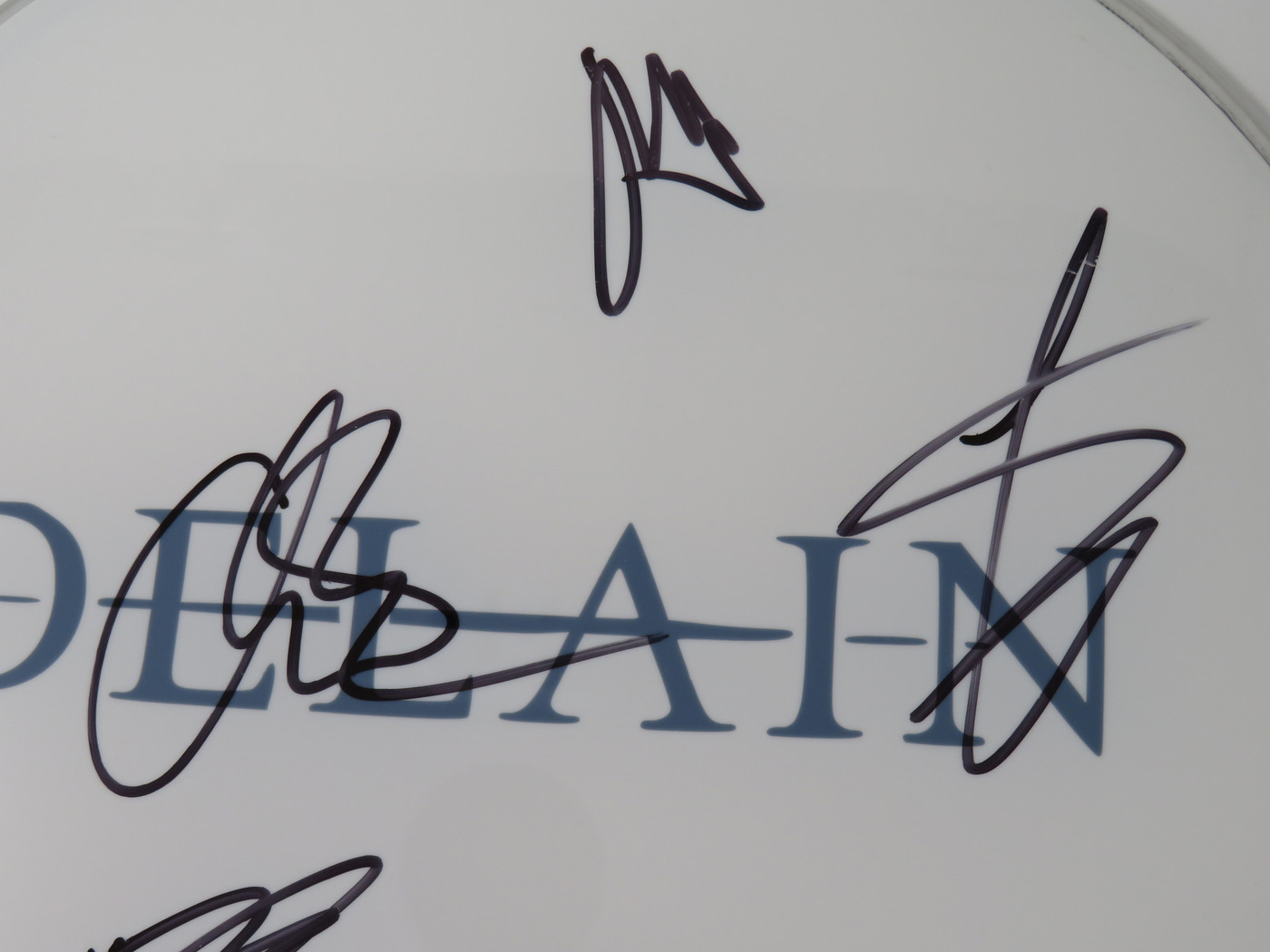 Delain Signed Drumhead QQ34965