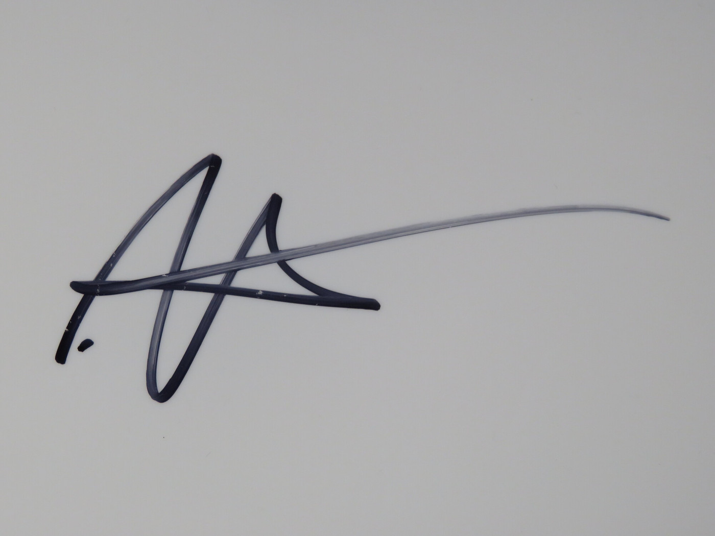 Foo Fighters Signed Drumhead FF52078