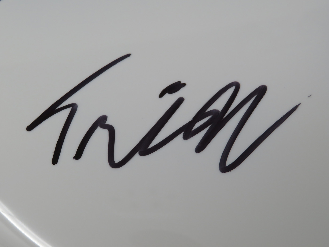Earth Signed Drumhead RR59513