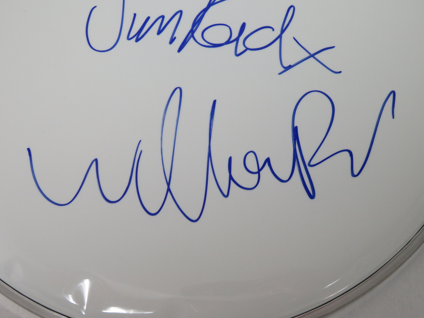 The Jesus And Mary Chain Signed Drumhead RR58914