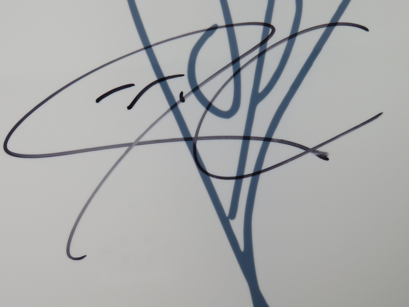 Smashing Pumpkins Signed Drumhead RR58744
