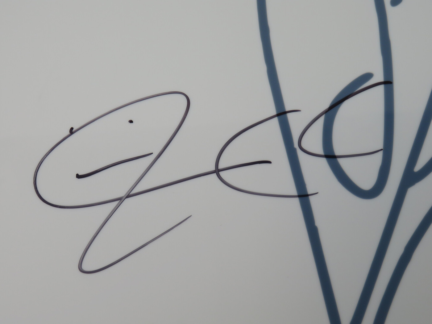 Smashing Pumpkins Signed Drumhead RR58743