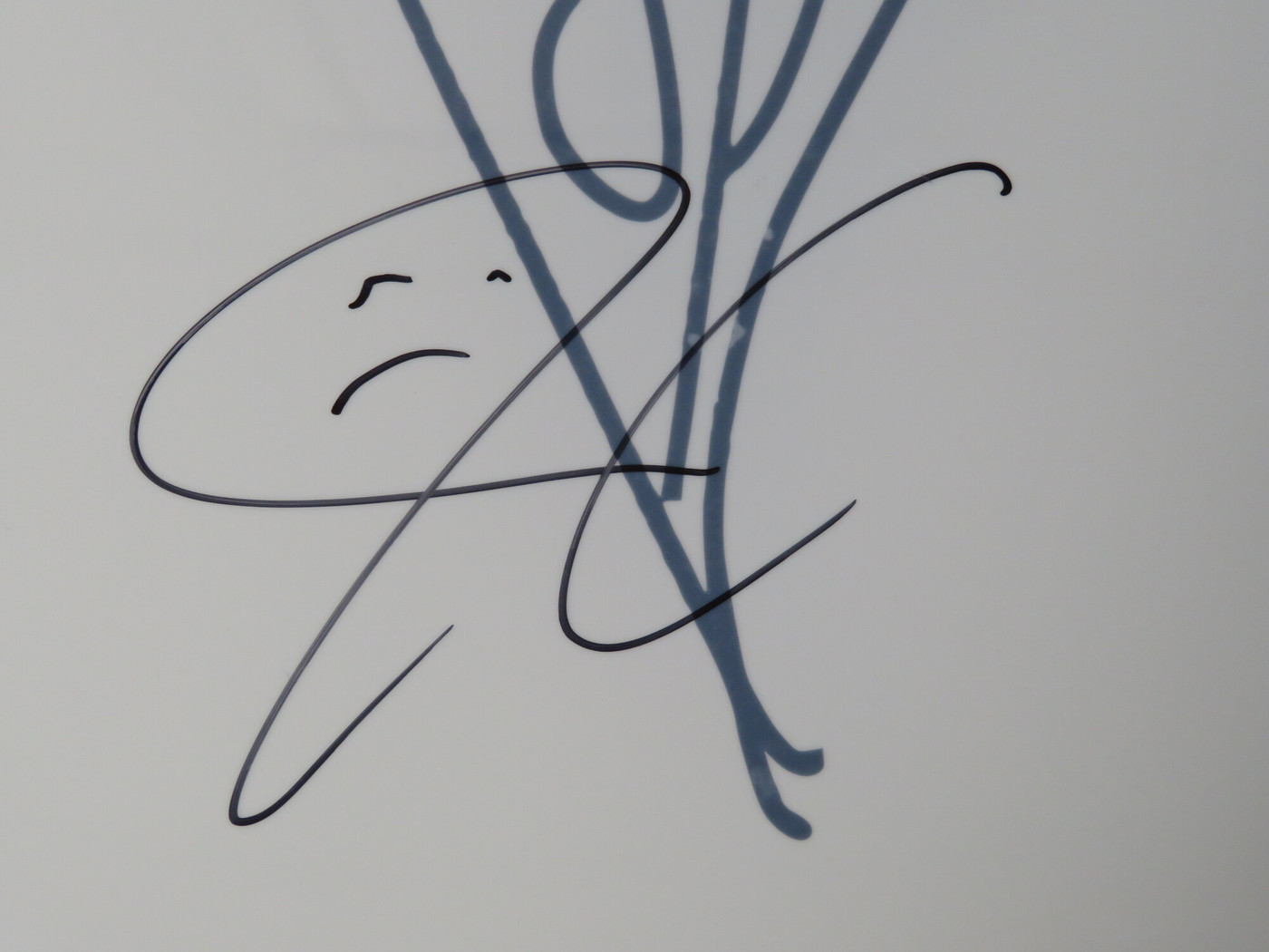 Smashing Pumpkins Signed Drumhead AQ12254