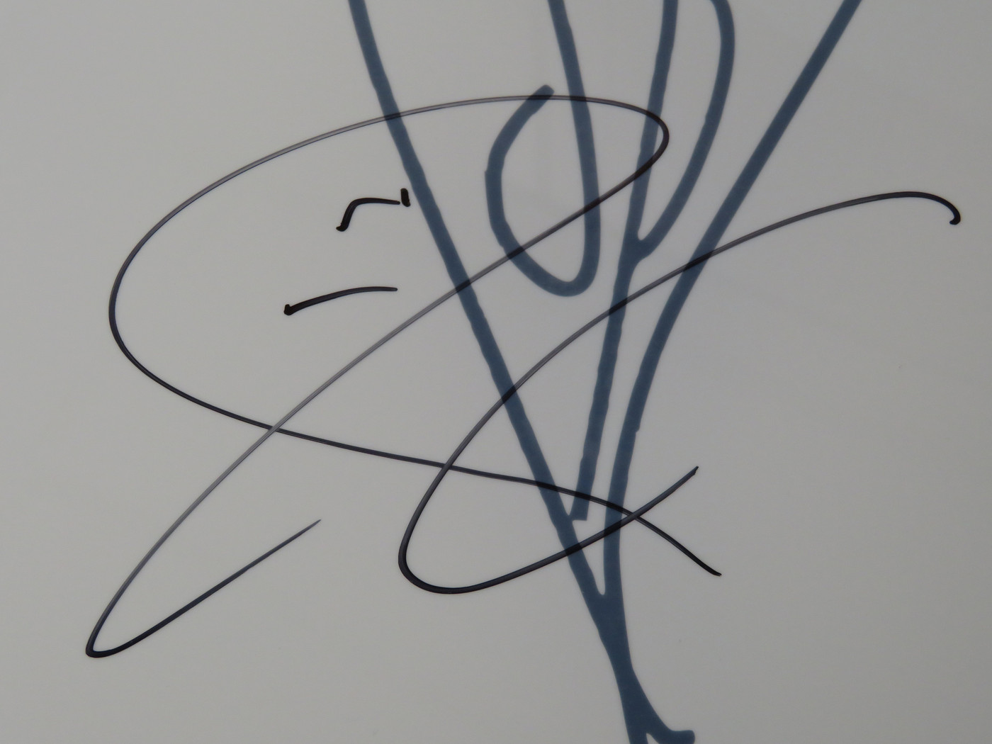 Smashing Pumpkins Signed Drumhead AQ12255