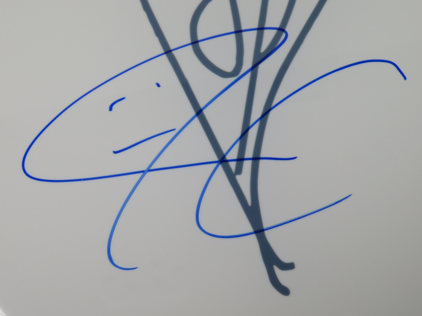 Smashing Pumpkins Signed Drumhead RR58727
