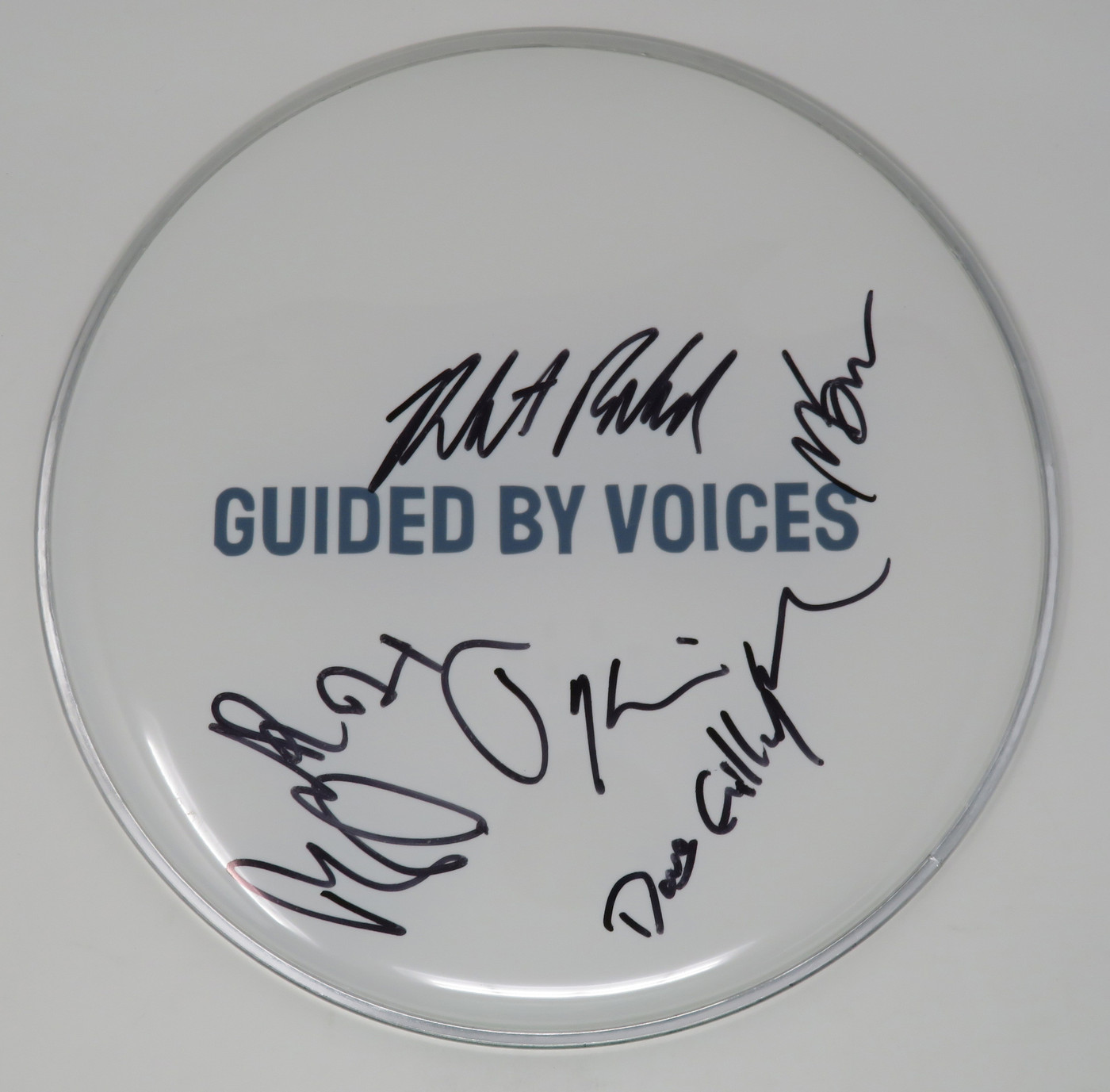 Guided By Voices Signed Drumhead AS68454