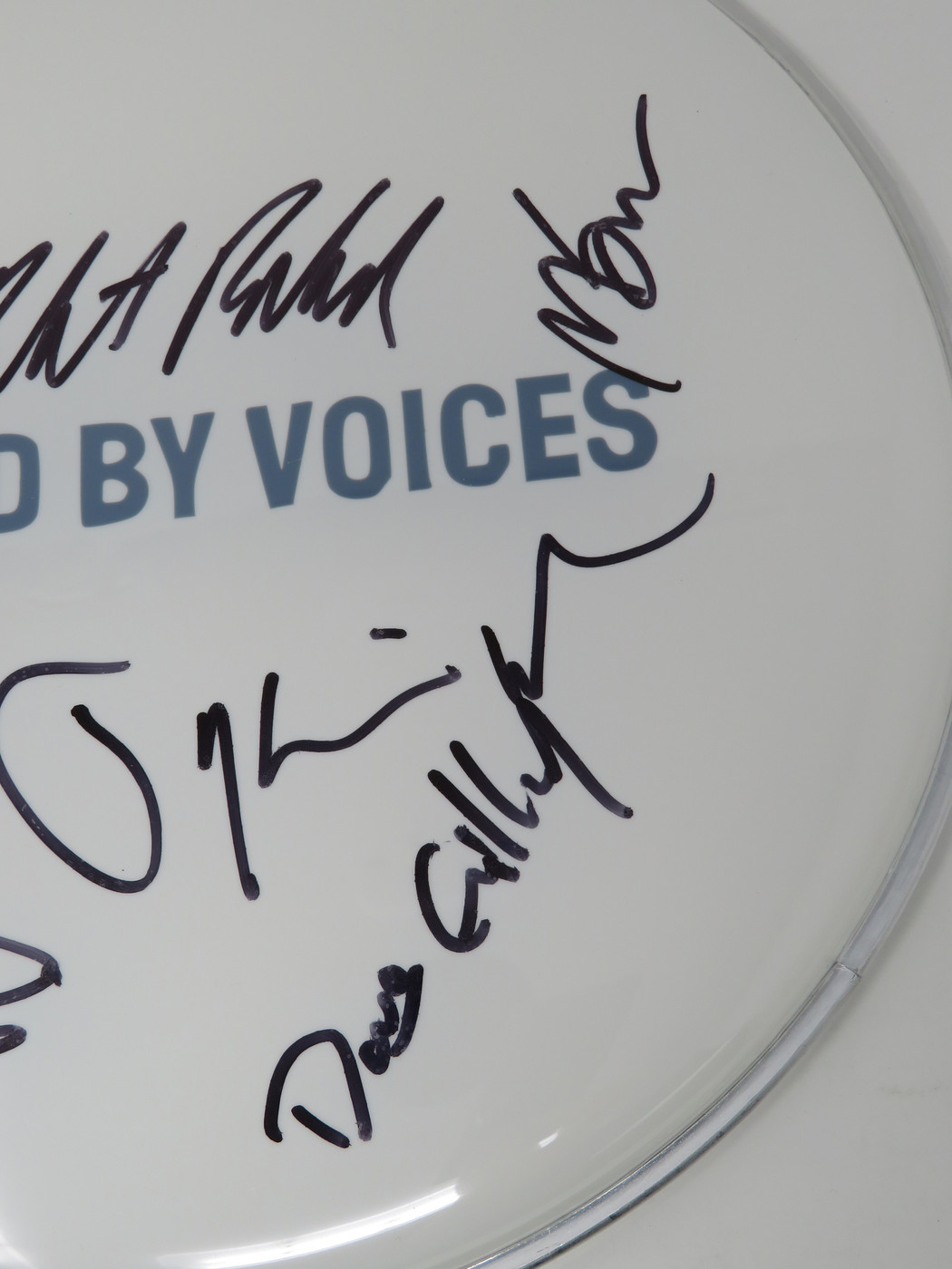 Guided By Voices Signed Drumhead AS68454