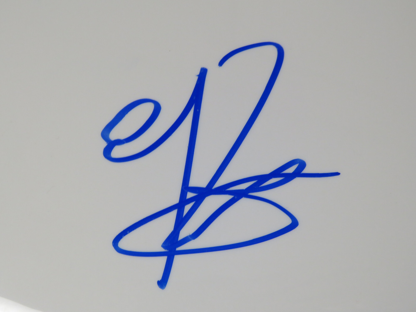 Stone Temple Pilots Signed Drumhead LH-FF51829