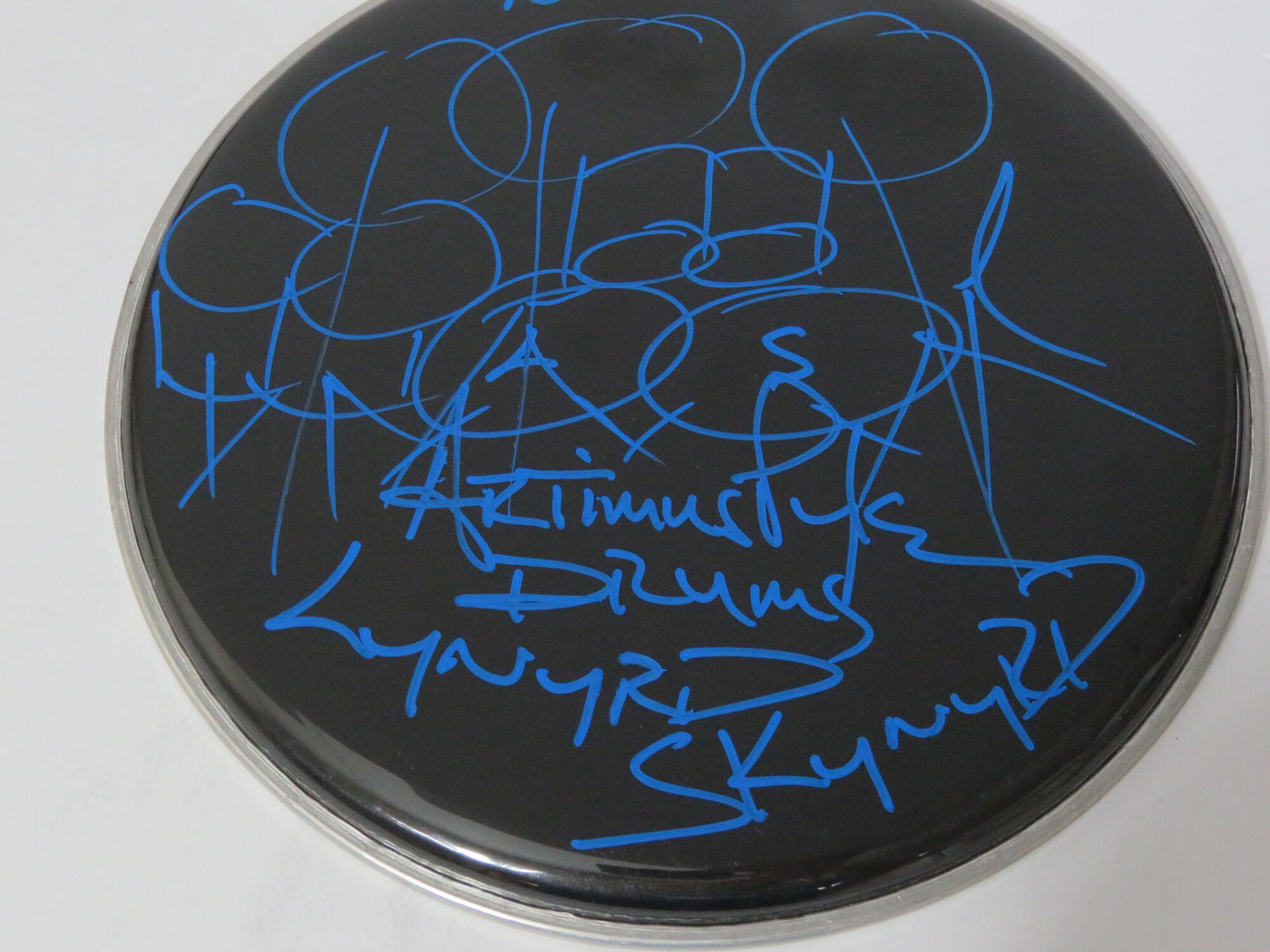 Lynyrd Skynyrd Signed Drumhead RR58895