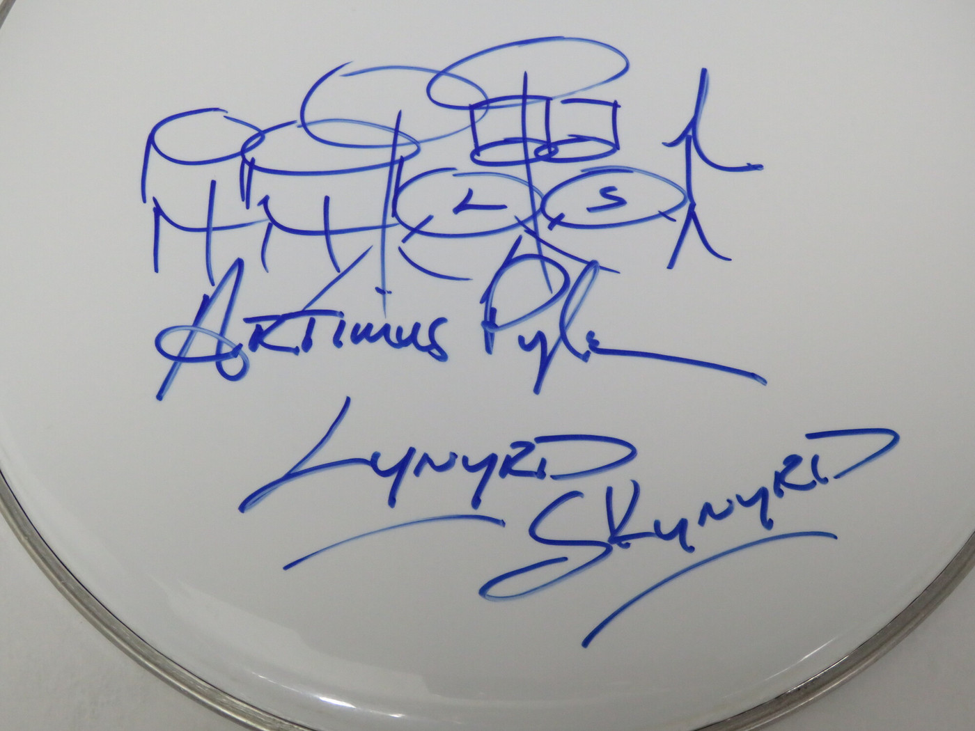 Lynyrd Skynyrd Signed Drumhead RR58922