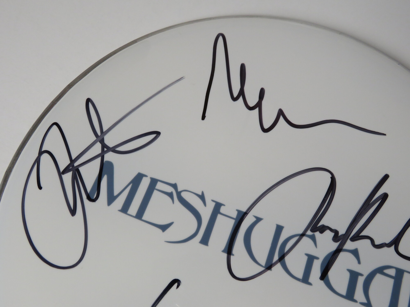 Meshuggah Signed Drumhead LH-FF51860
