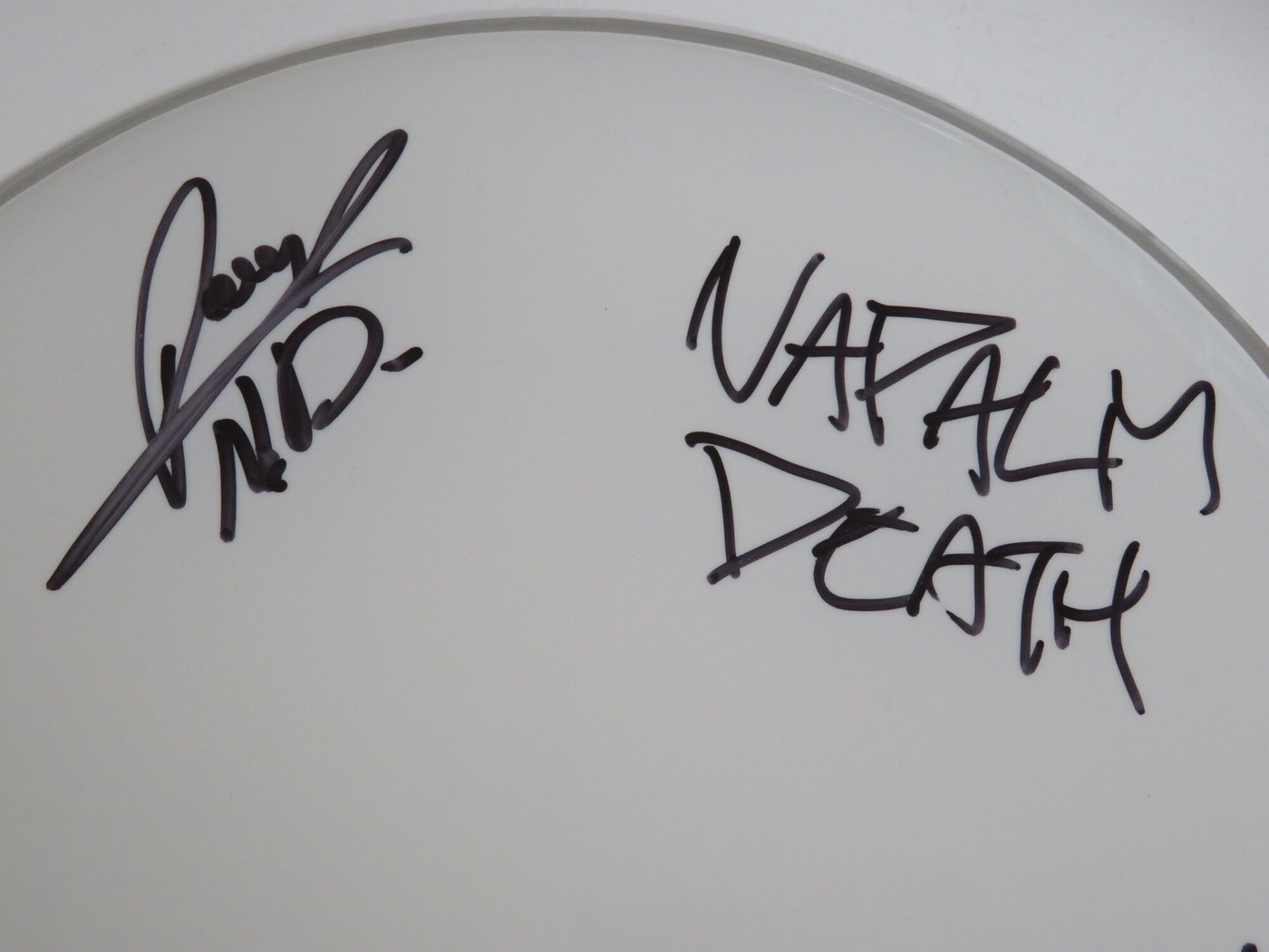 Napalm Death Signed Drumhead RR59441