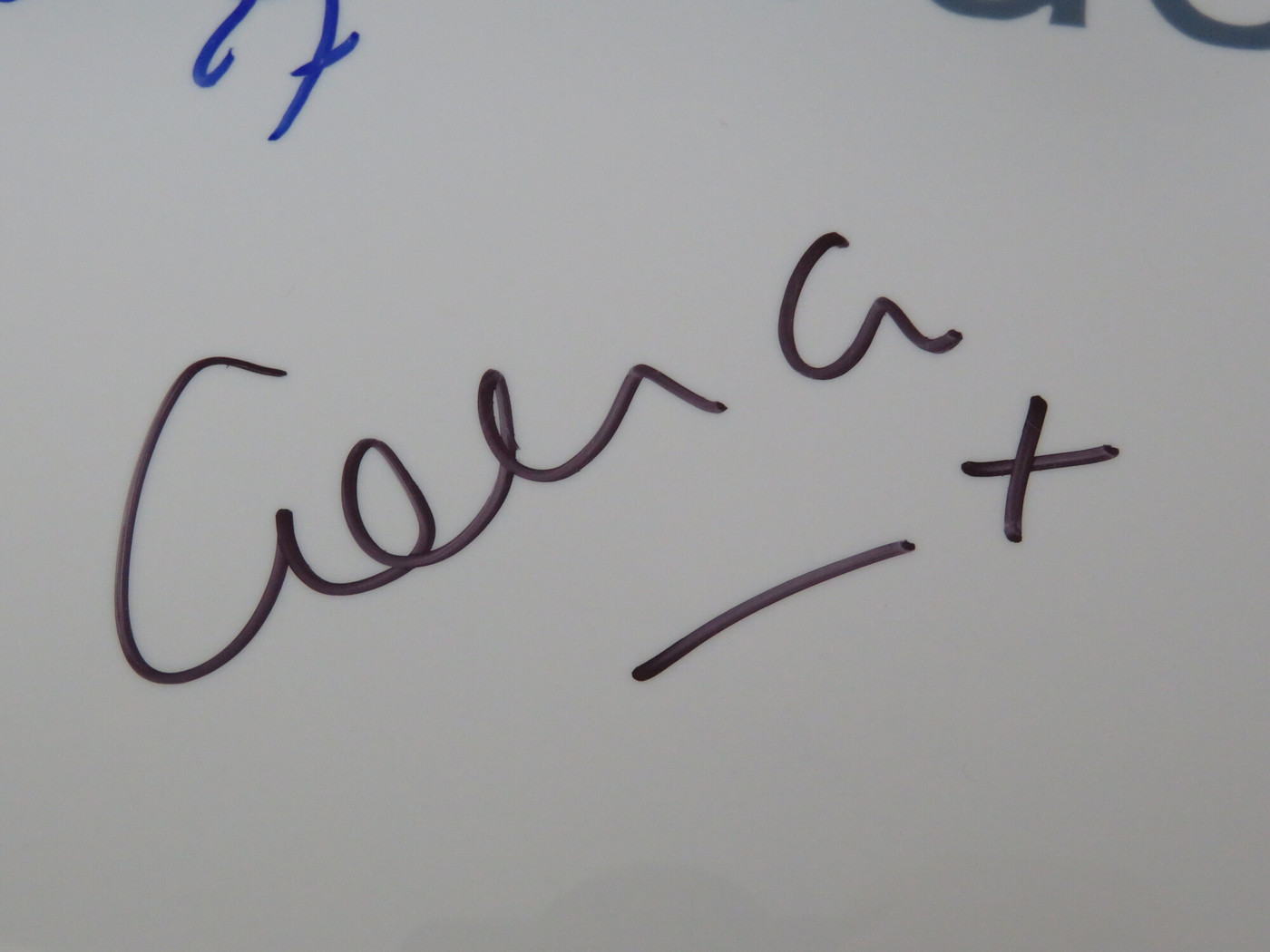 New Order Signed Drumhead LH-FF67708