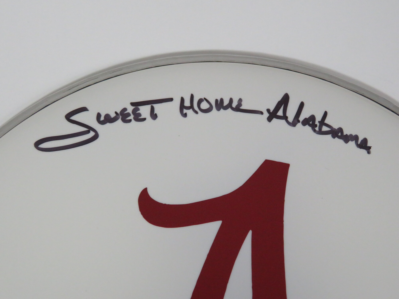 Lynyrd Skynyrd Signed Drumhead RR58814