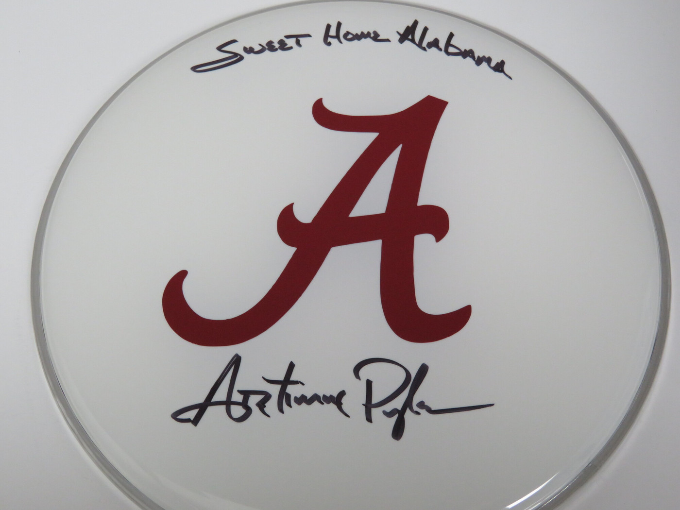 Lynyrd Skynyrd Signed Drumhead RR58815