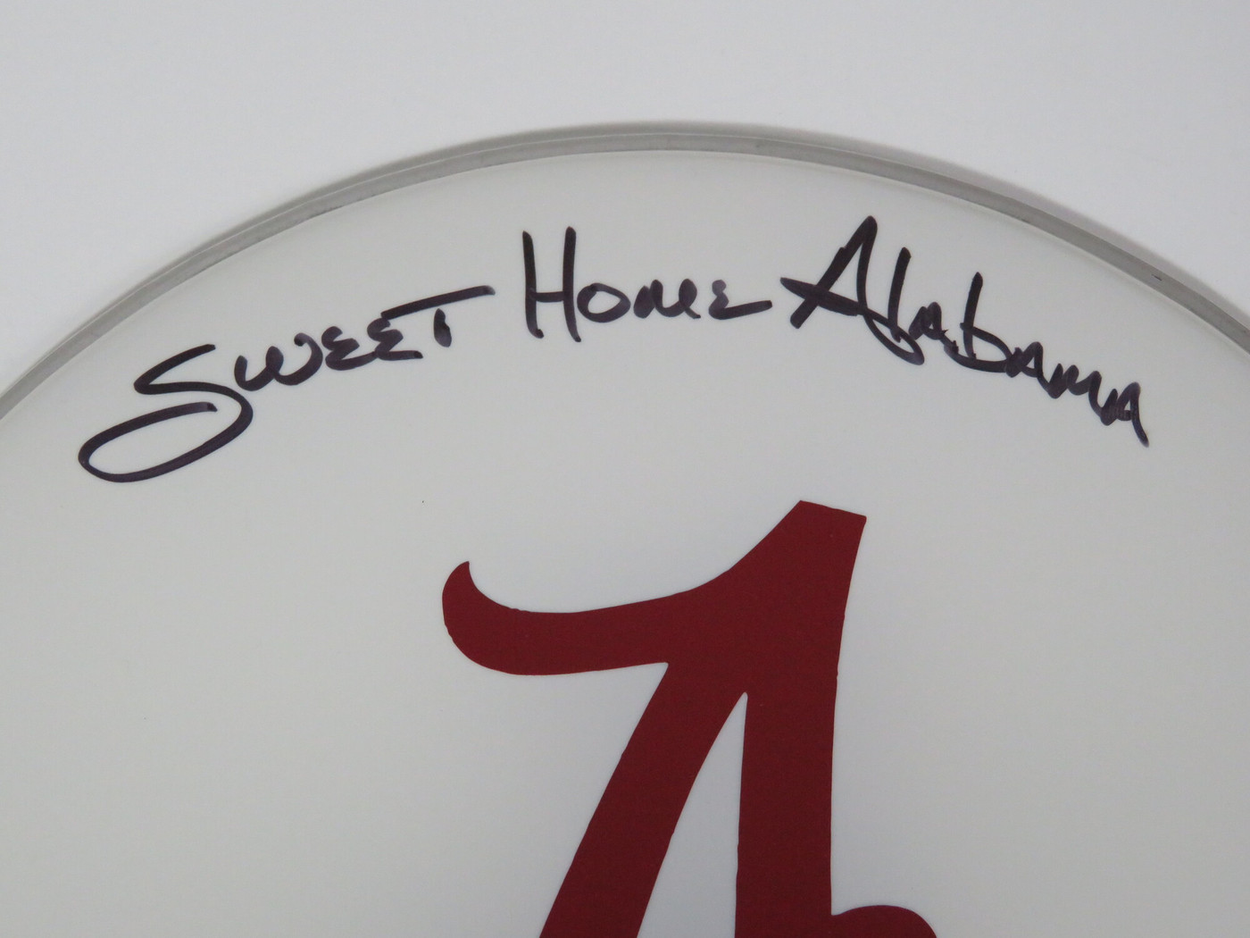 Lynyrd Skynyrd Signed Drumhead RR58816
