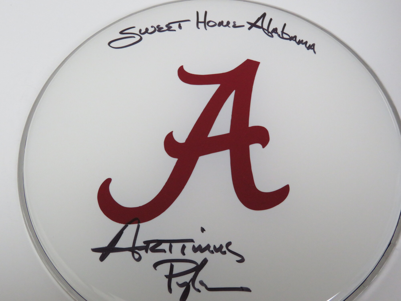 Lynyrd Skynyrd Signed Drumhead RR58816