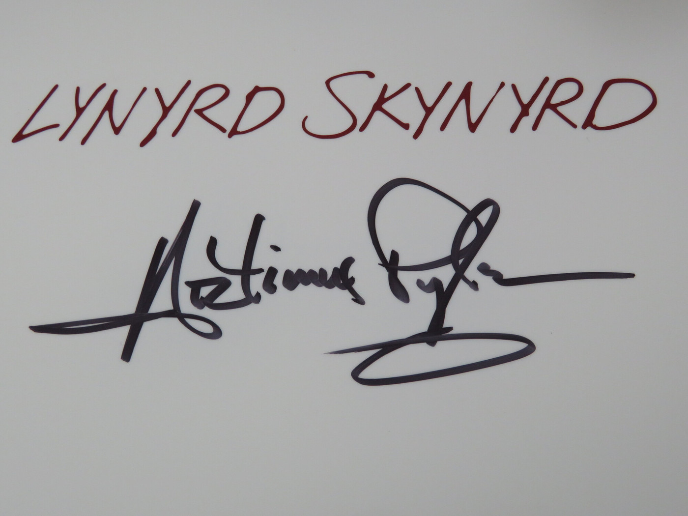 Lynyrd Skynyrd Signed Drumhead RR58811