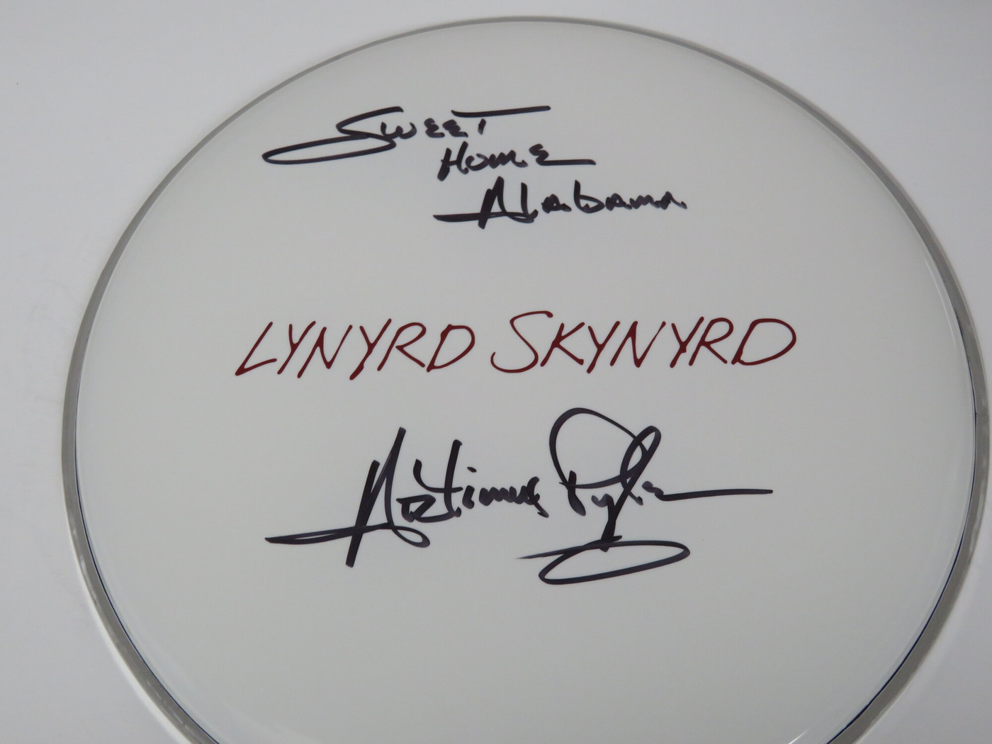 Lynyrd Skynyrd Signed Drumhead RR58811