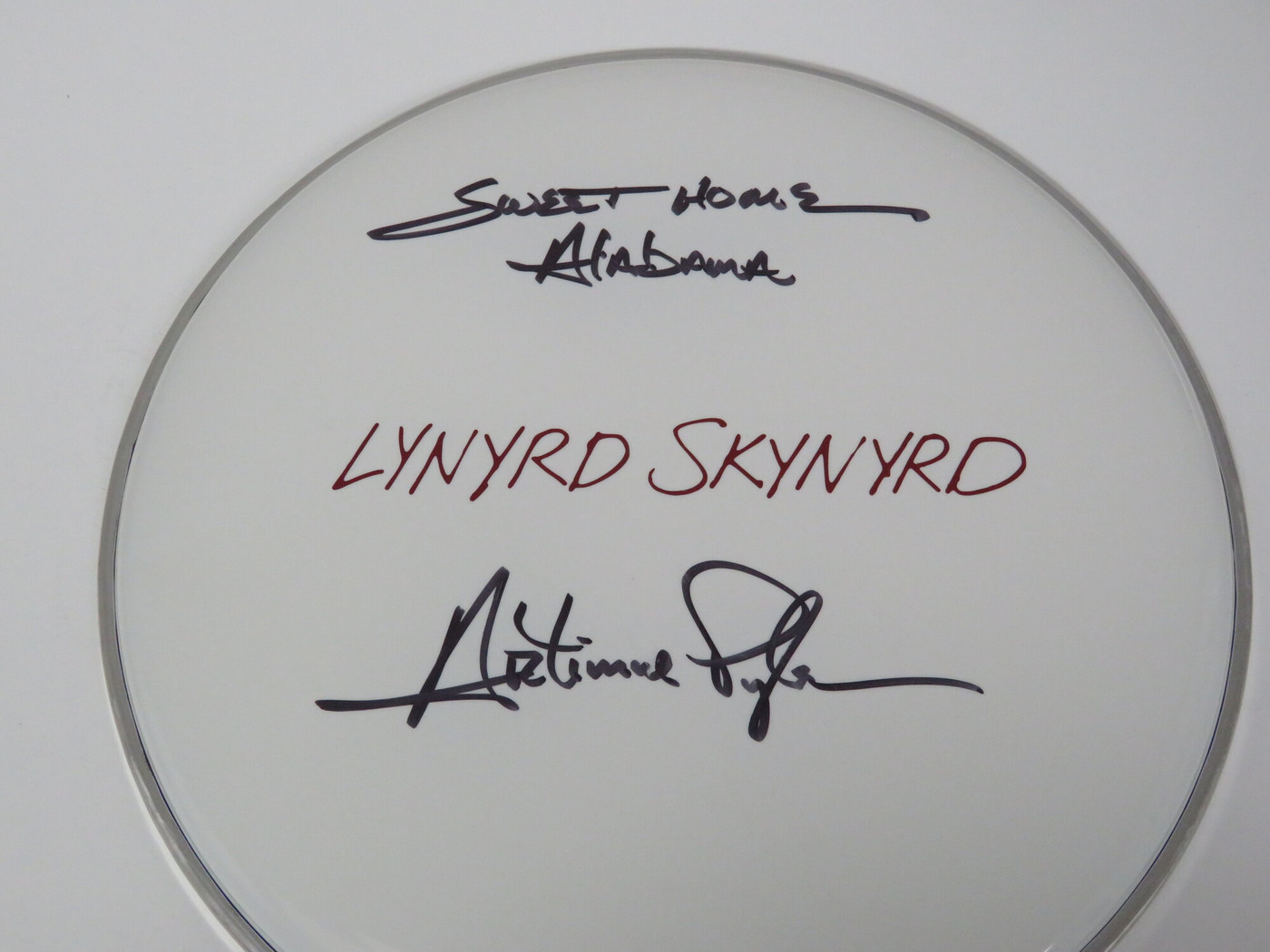 Lynyrd Skynyrd Signed Drumhead RR58812