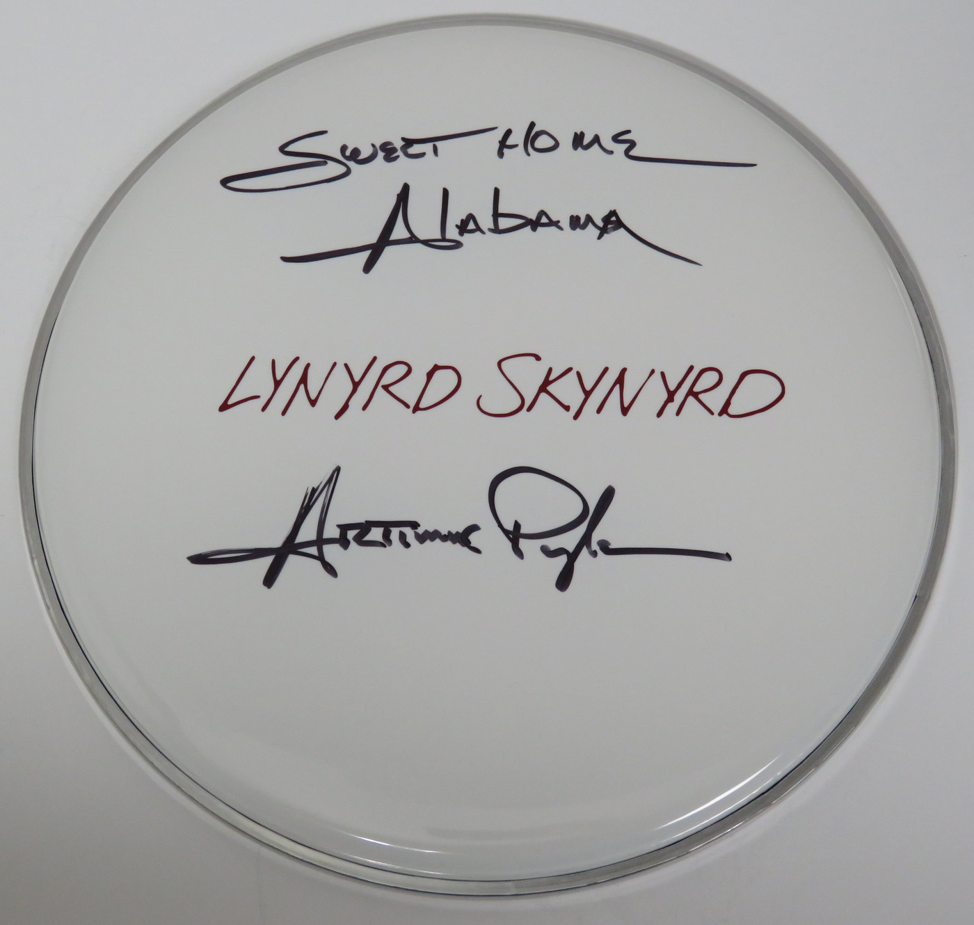 Lynyrd Skynyrd Signed Drumhead RR58813