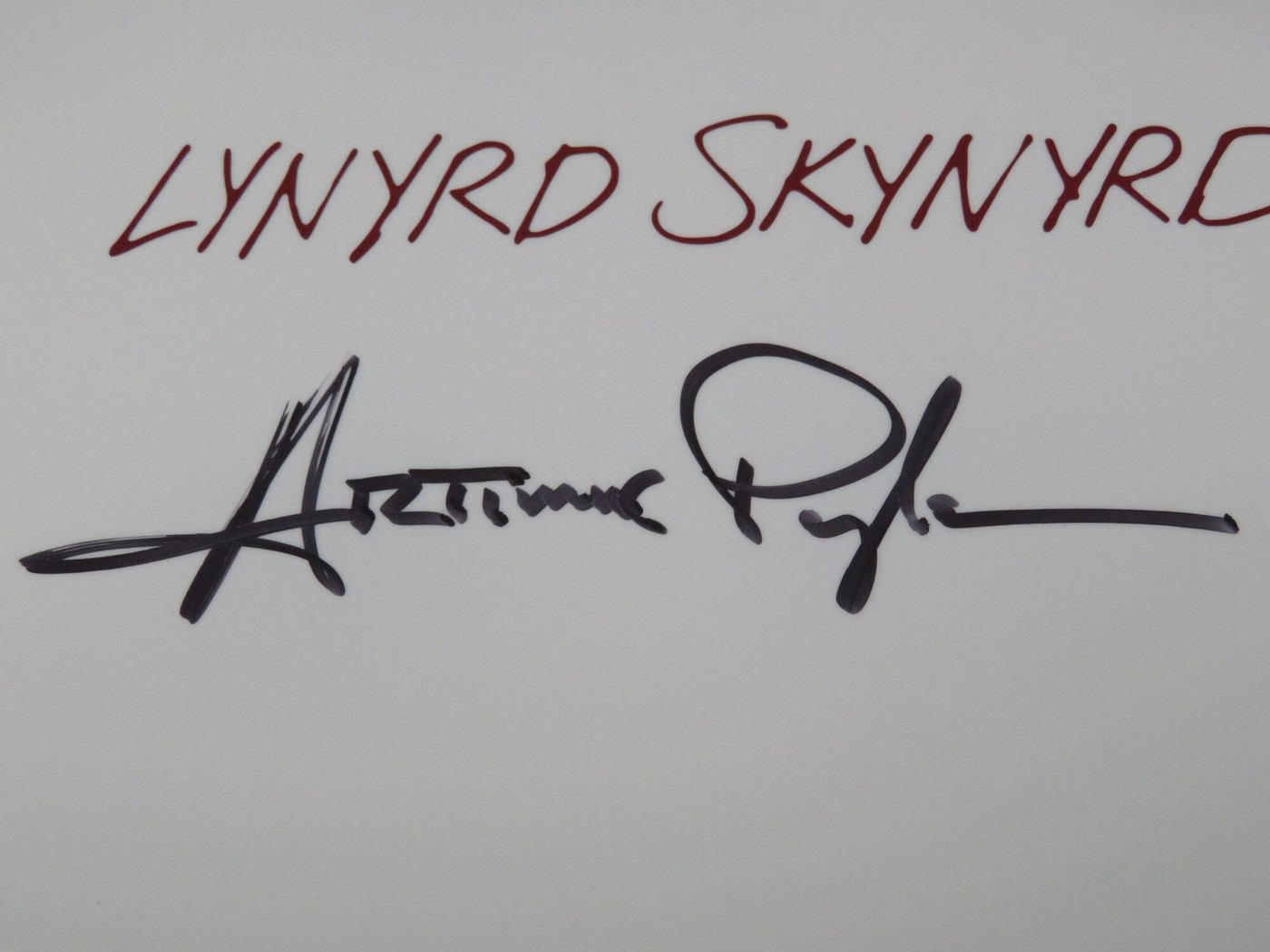 Lynyrd Skynyrd Signed Drumhead RR58813